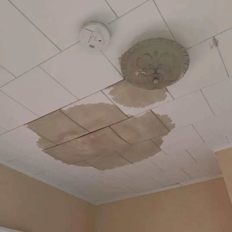 Ceiling Water Damage Repair in Otis, MA