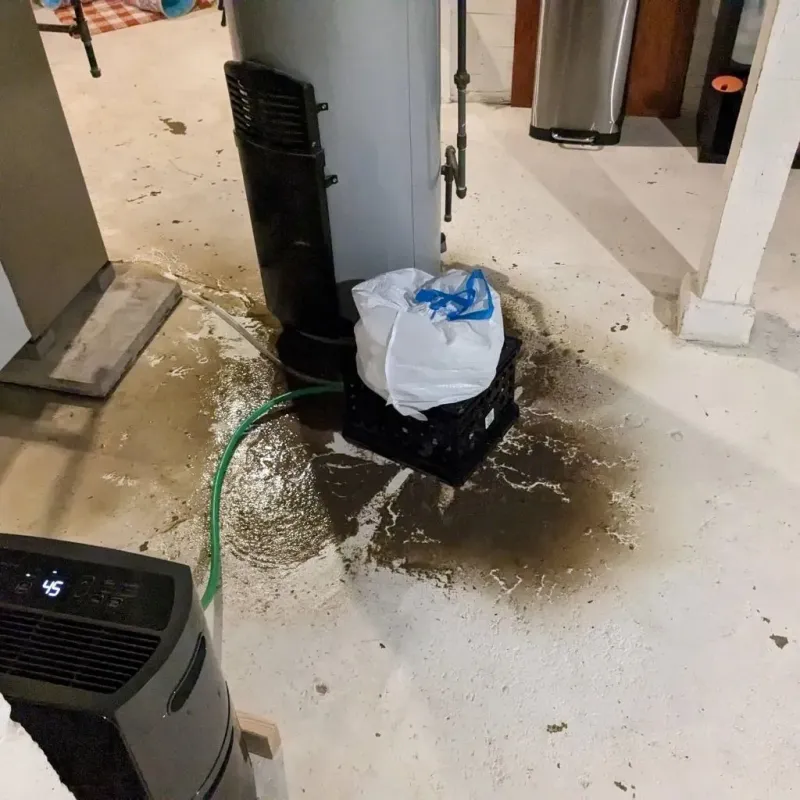 Sewage Backup Cleanup Service in Otis, MA